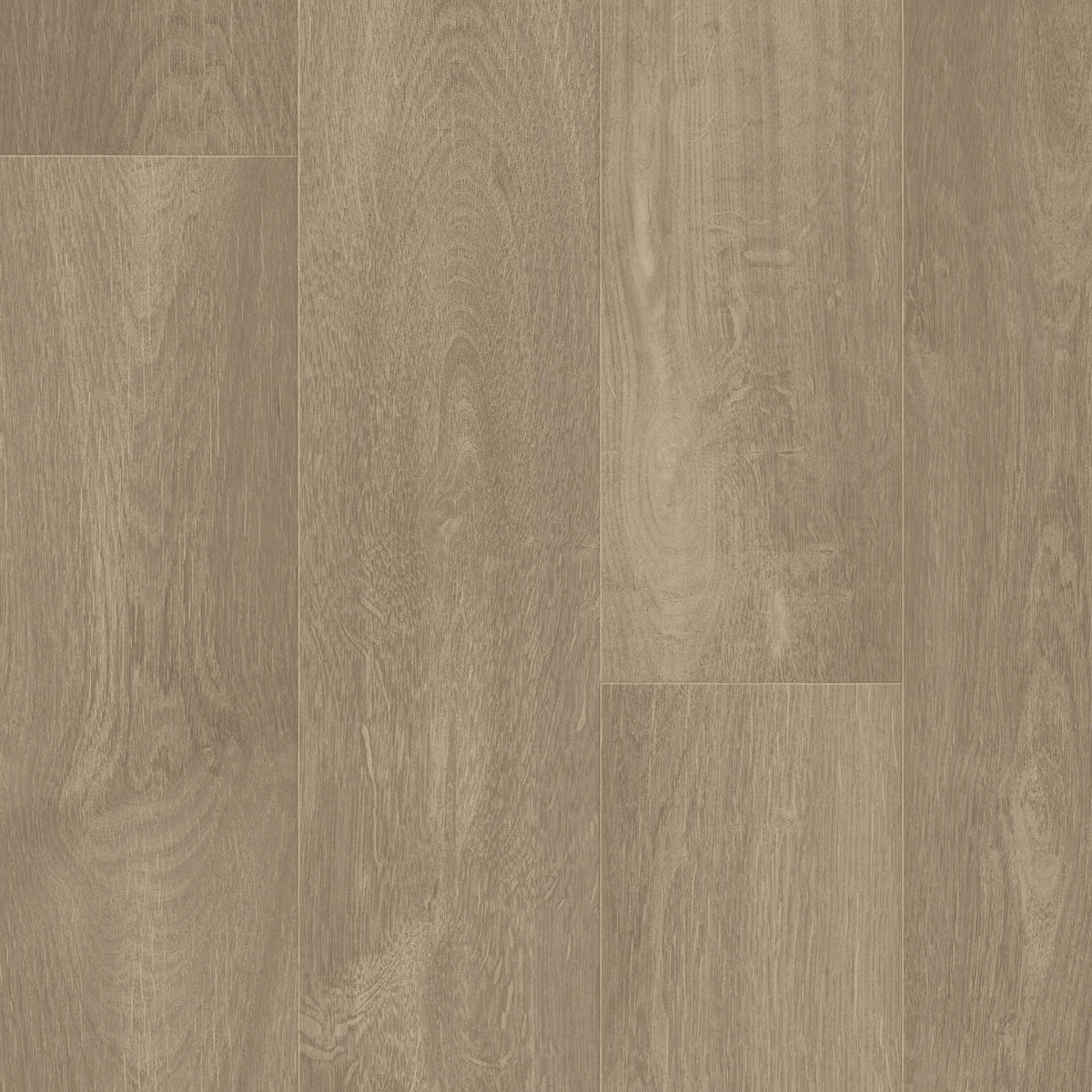 Grabo Acoustic 43 X-PUR coloris 1146-393-668-281