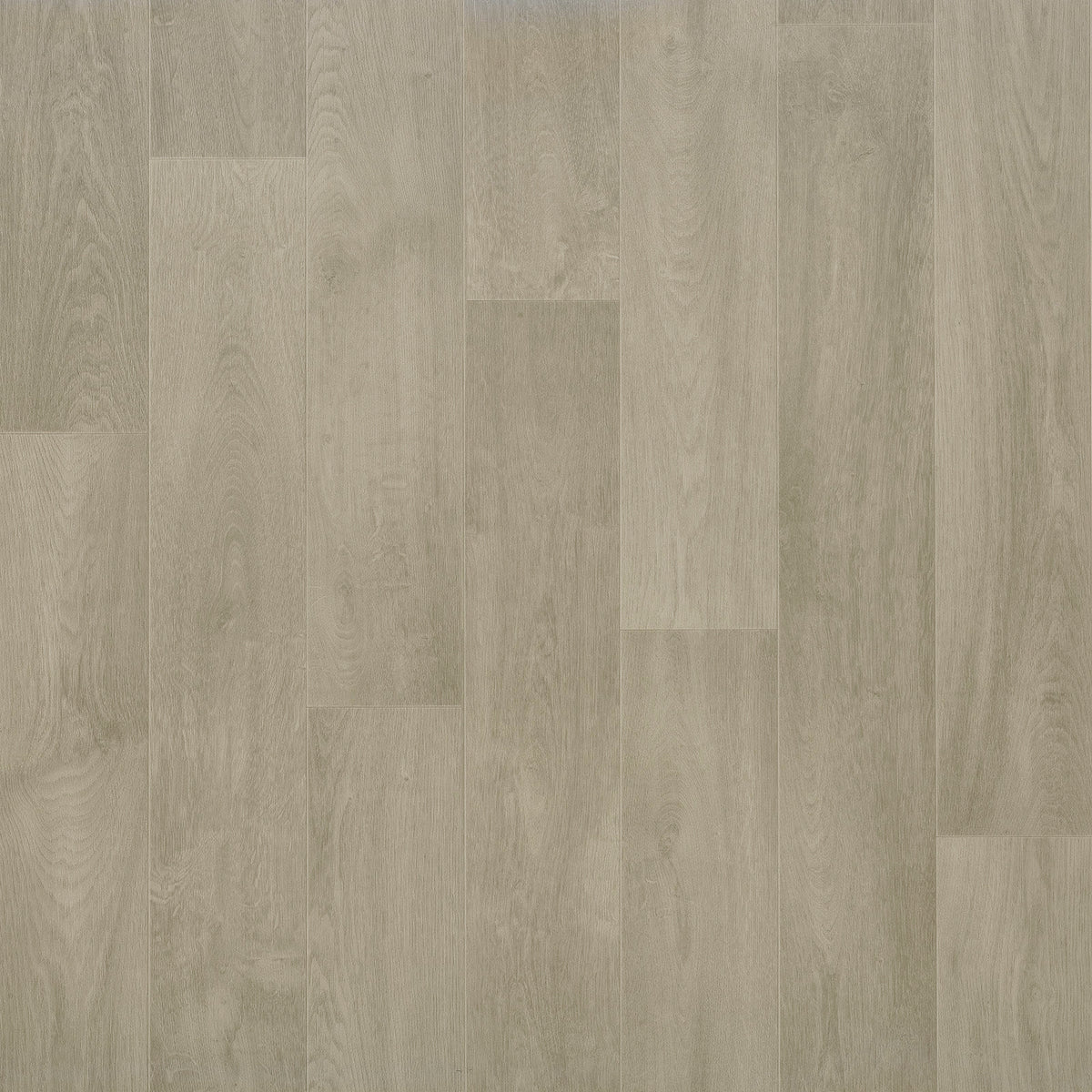 Grabo Diamond X-PUR coloris 1146-393-668-281