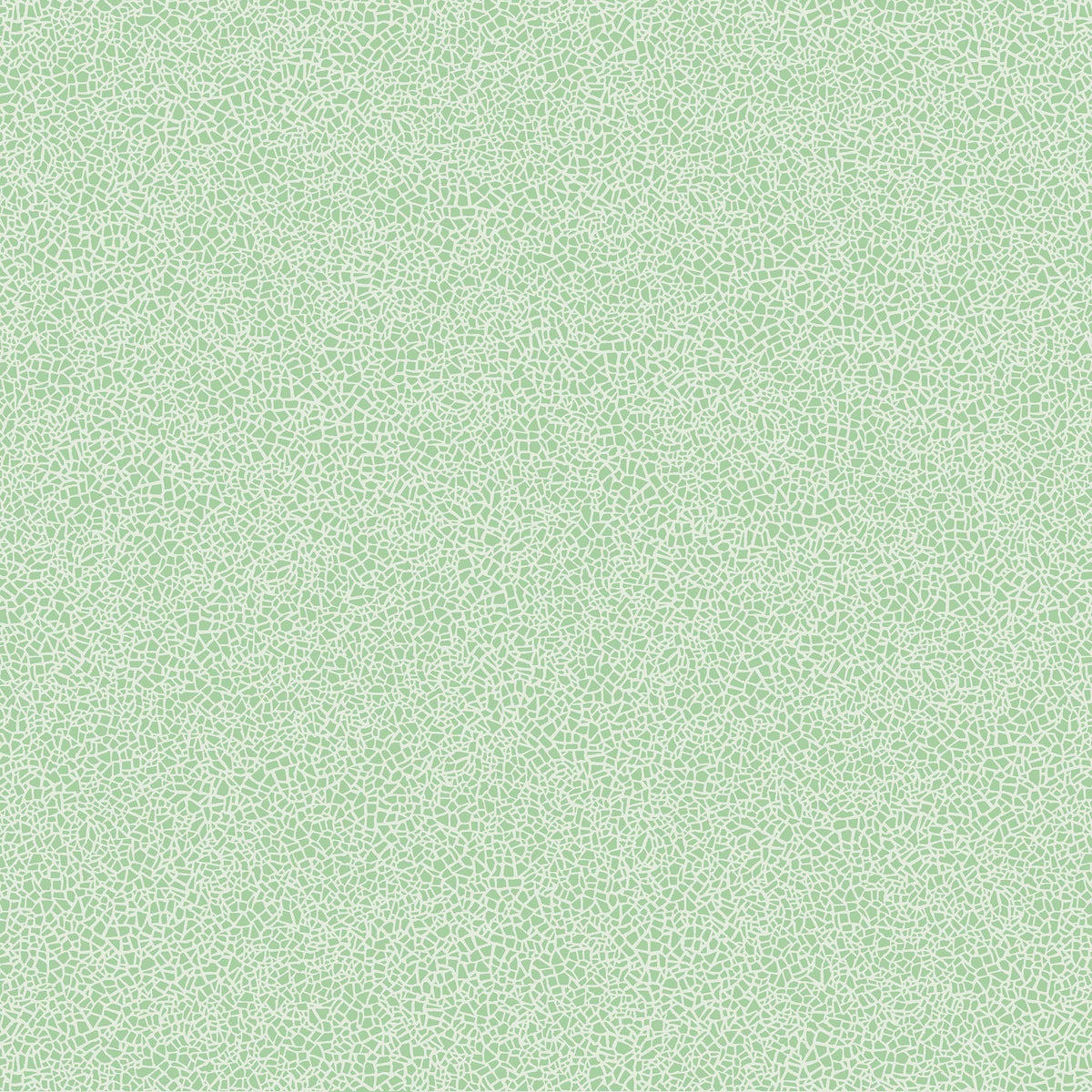 Grabo Acoustic 43 X-PUR coloris 388-682-275