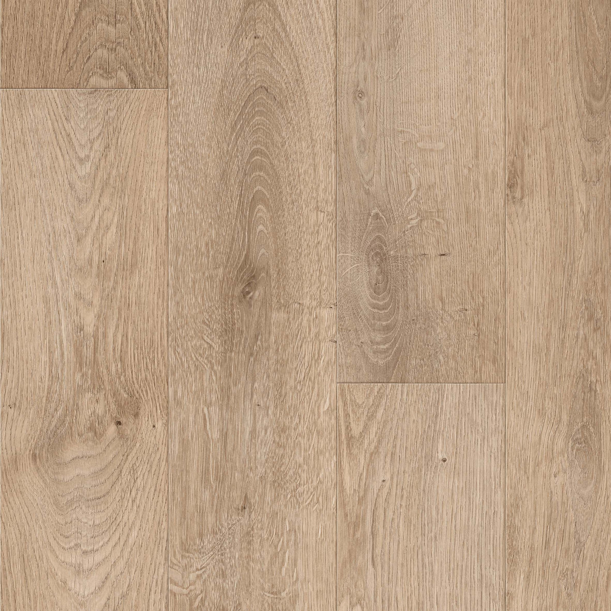 Grabo Acoustic 43 X-PUR coloris 393-669-281