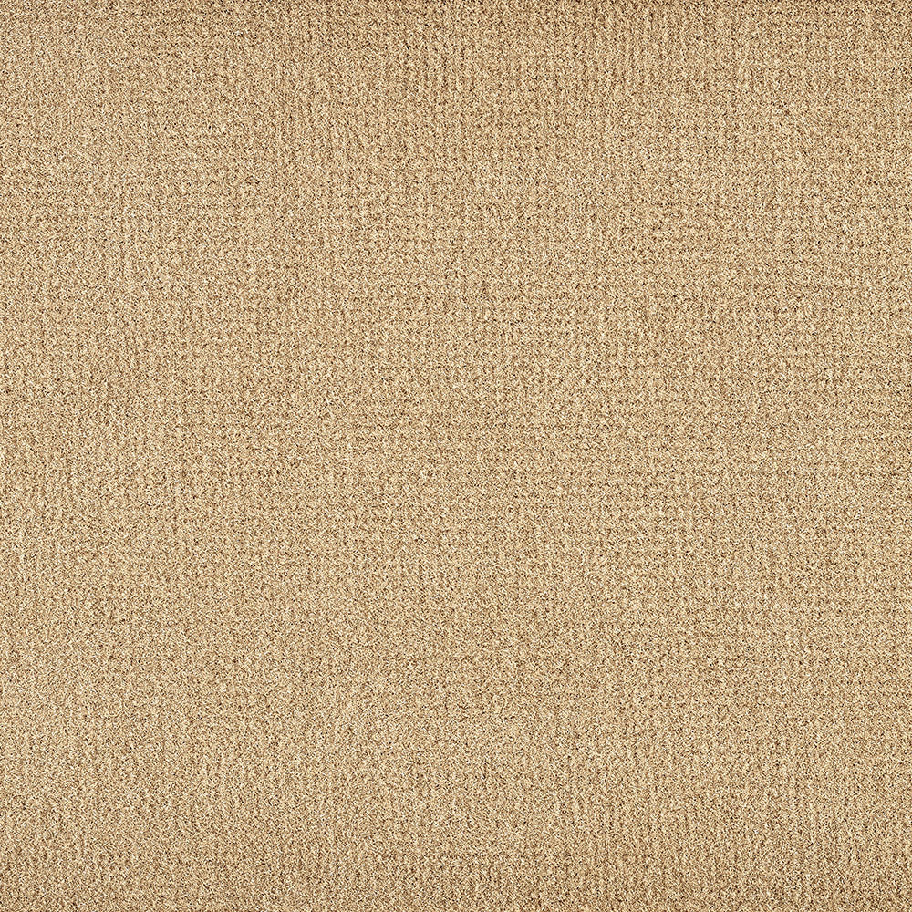 Moquette Radici Compress – velours coupé contract