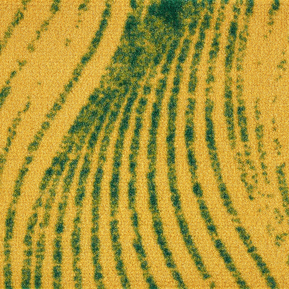 Moquette Radici Palma – imprimée