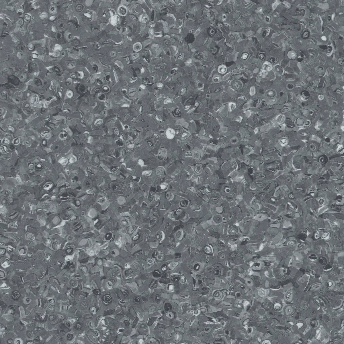Grabo Fortis Silver Knight coloris Anthracite
