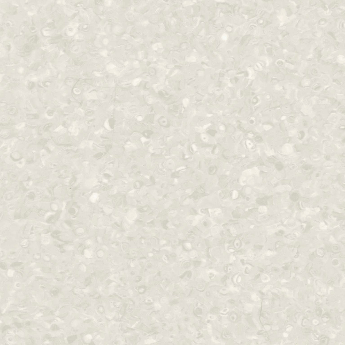 Grabo Fortis Silver Knight coloris Bone