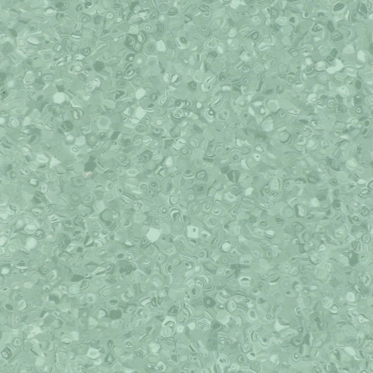 Grabo Fortis Silver Knight coloris Cactus