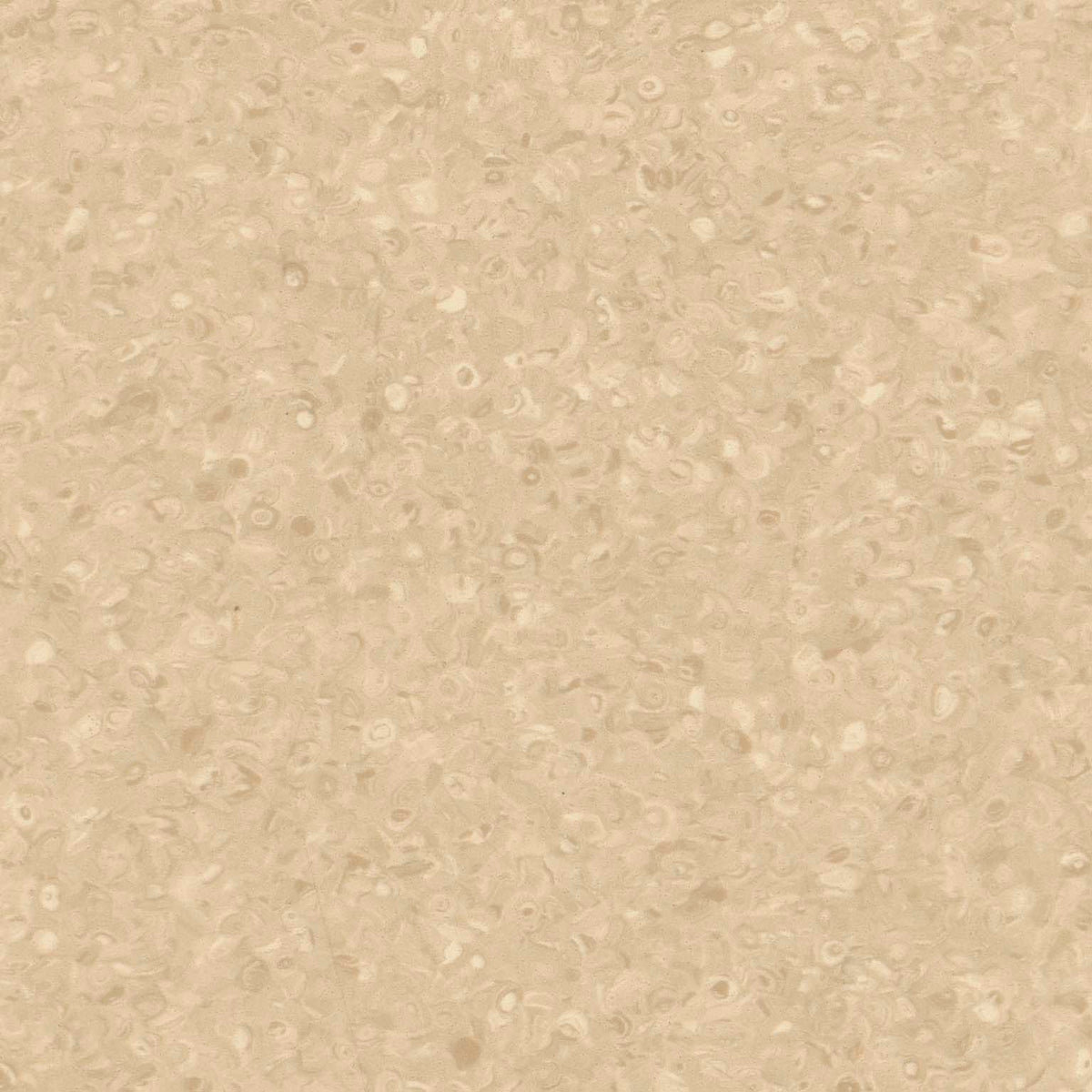 Grabo Fortis Silver Knight coloris Caramel