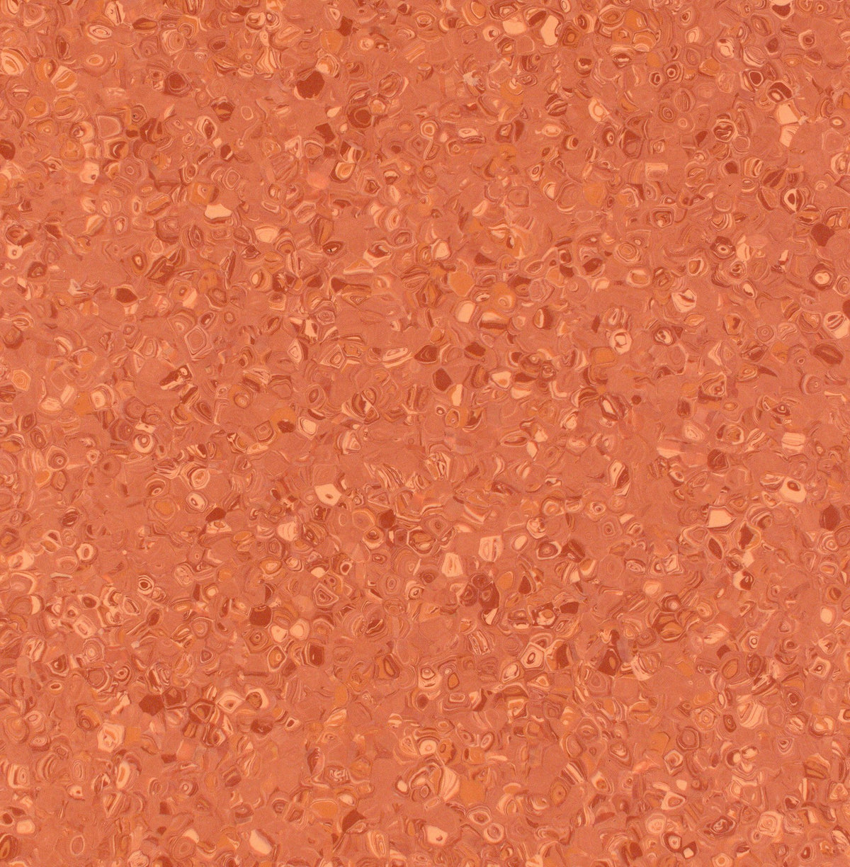 Grabo Fortis Silver Knight coloris Coral