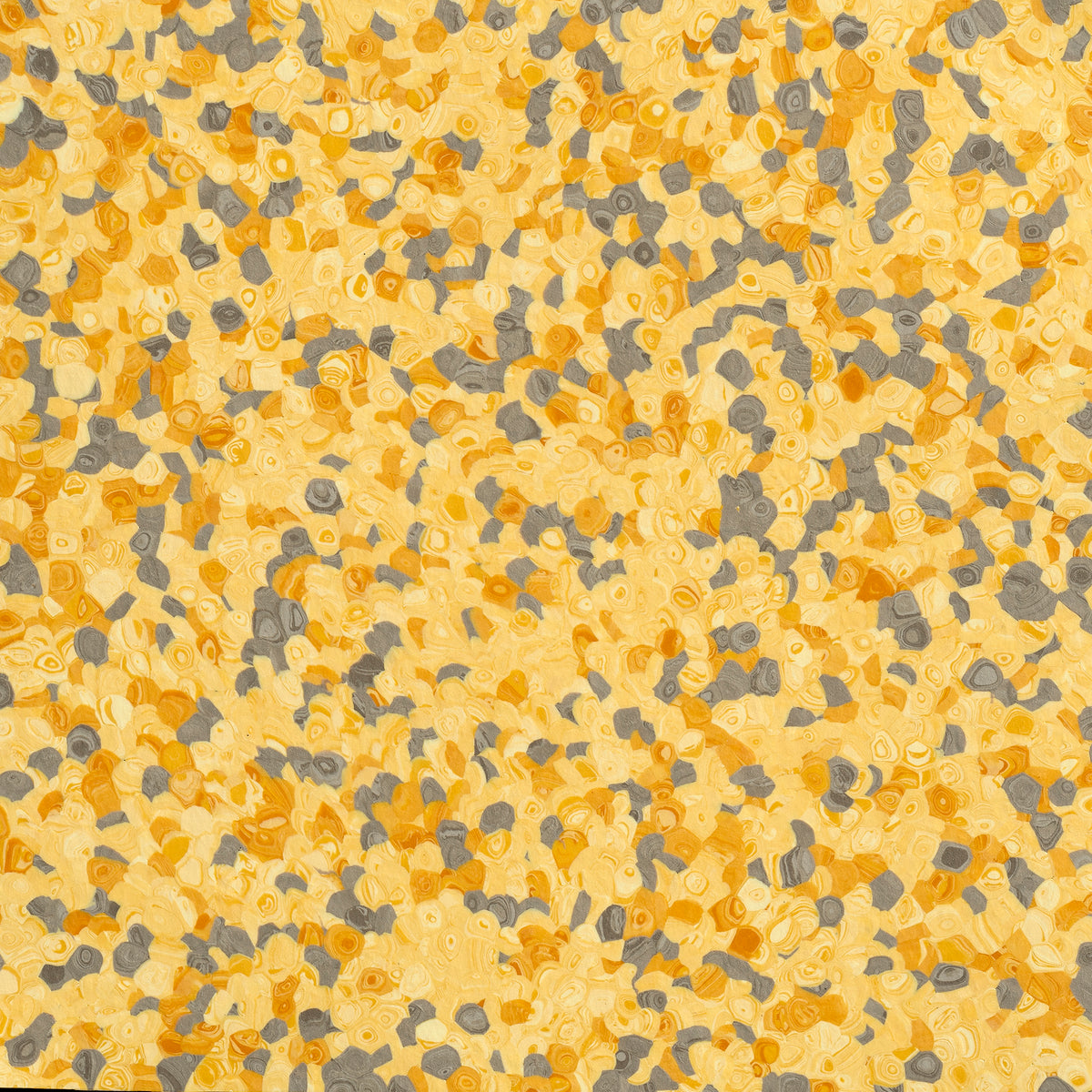 Grabo Fortis Silver Knight coloris Bee