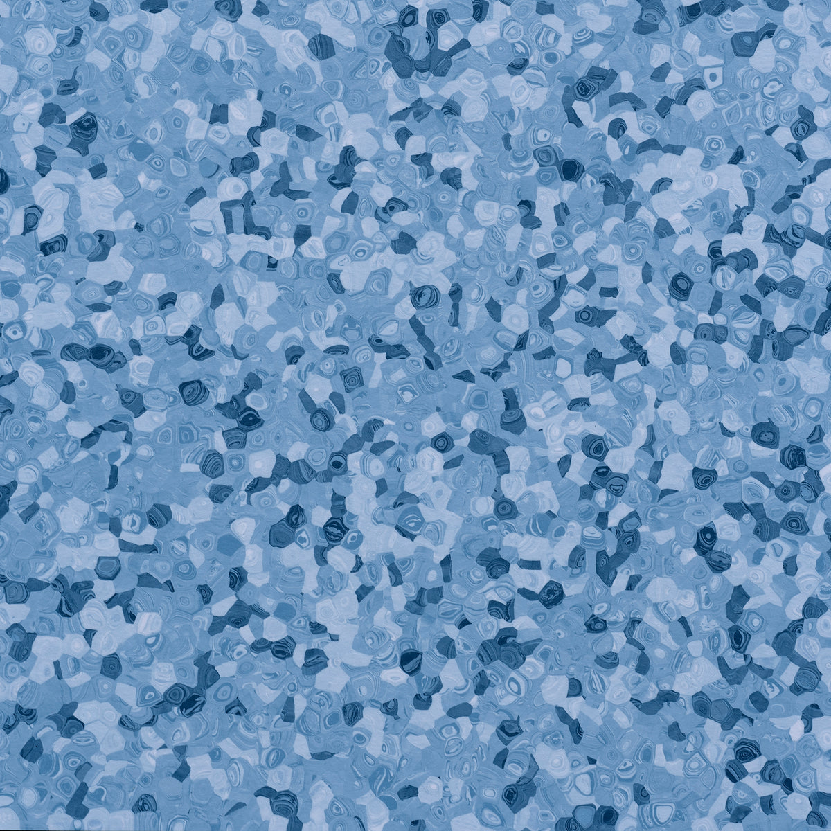 Grabo Fortis Silver Knight coloris Bluebird
