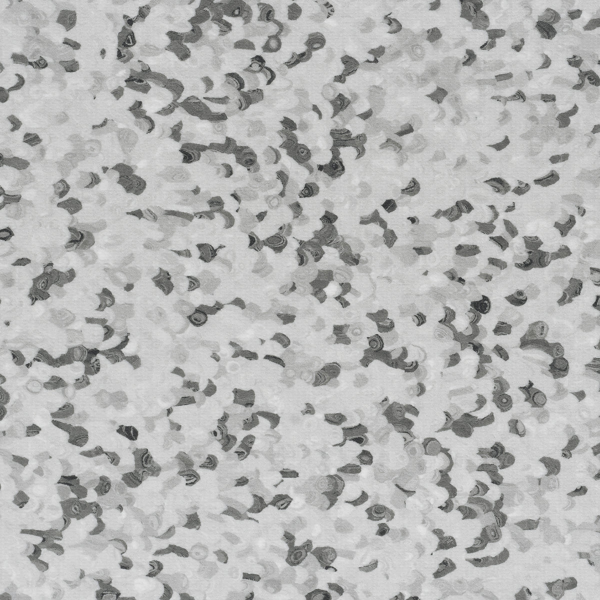 Grabo Fortis Silver Knight coloris Dolphin