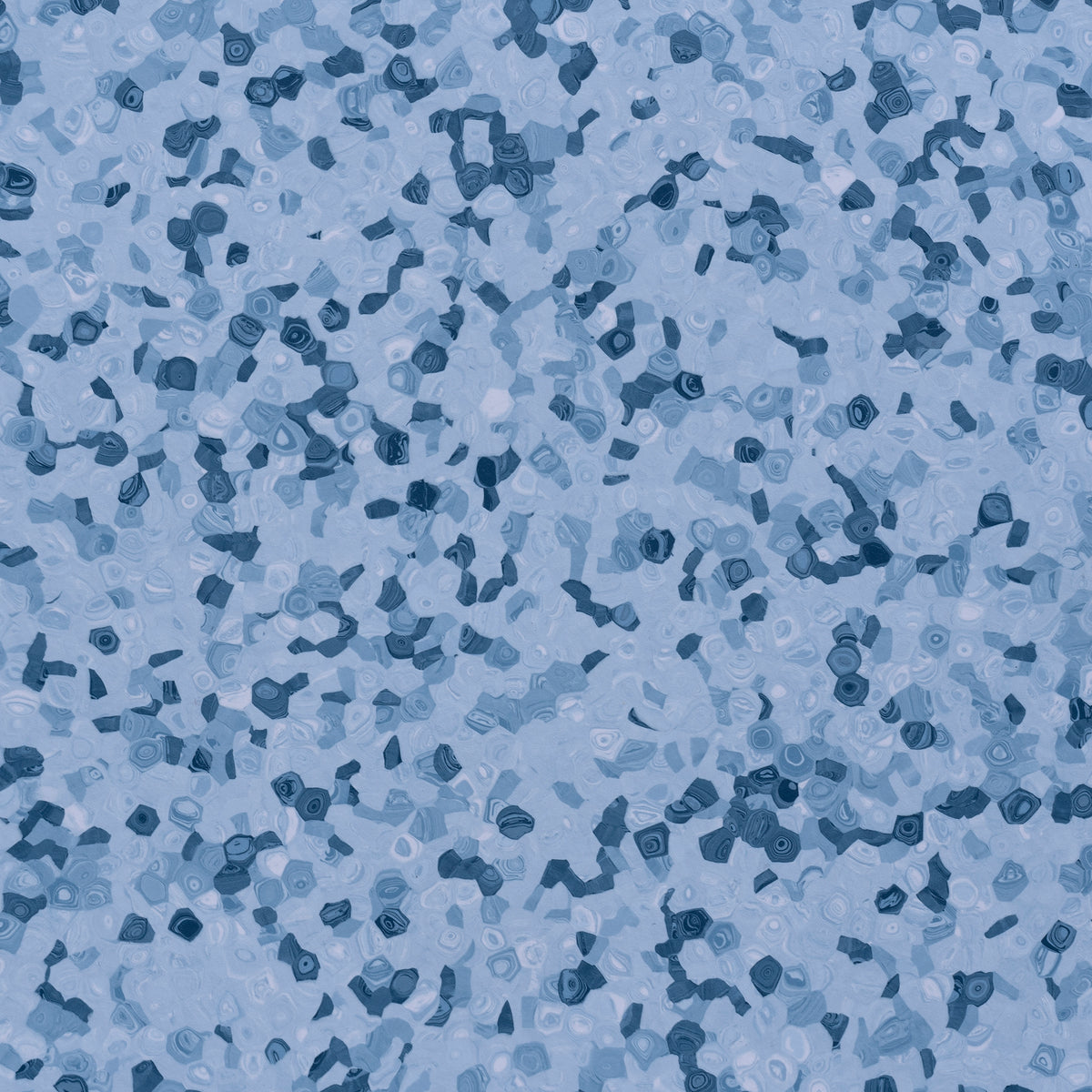 Grabo Fortis Silver Knight coloris Fish