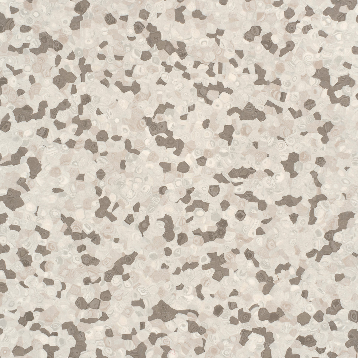Grabo Fortis Silver Knight coloris Mongoose