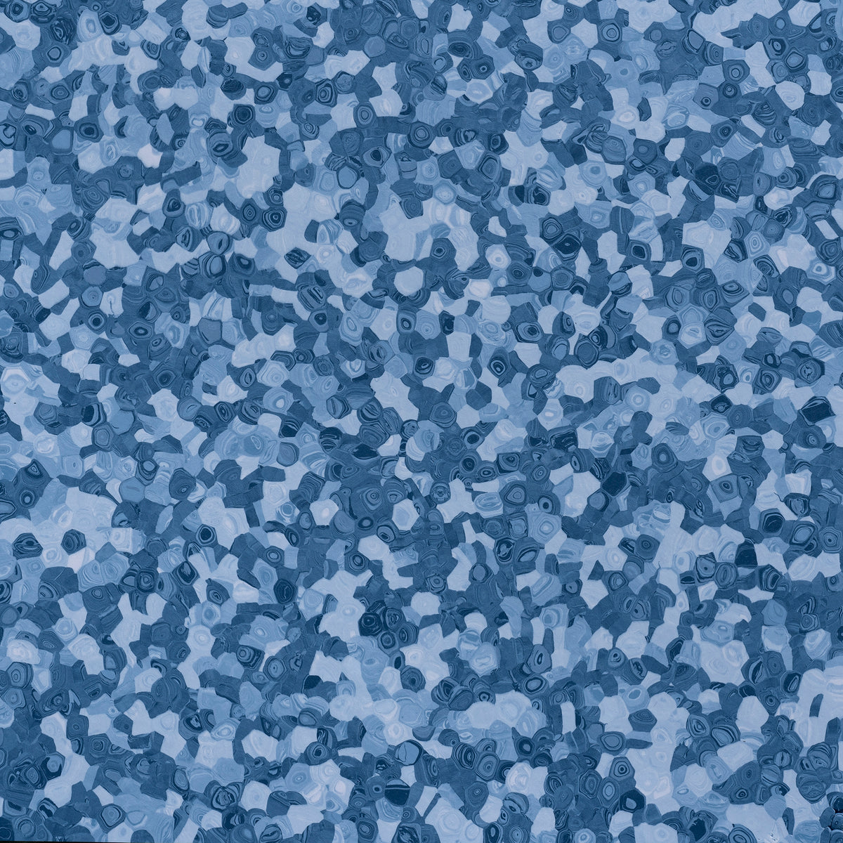 Grabo Fortis Silver Knight coloris Morpho