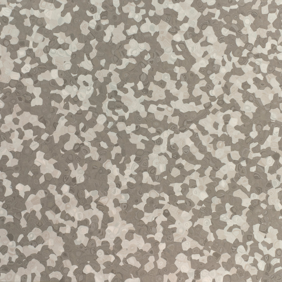Grabo Fortis Silver Knight coloris Pangolin