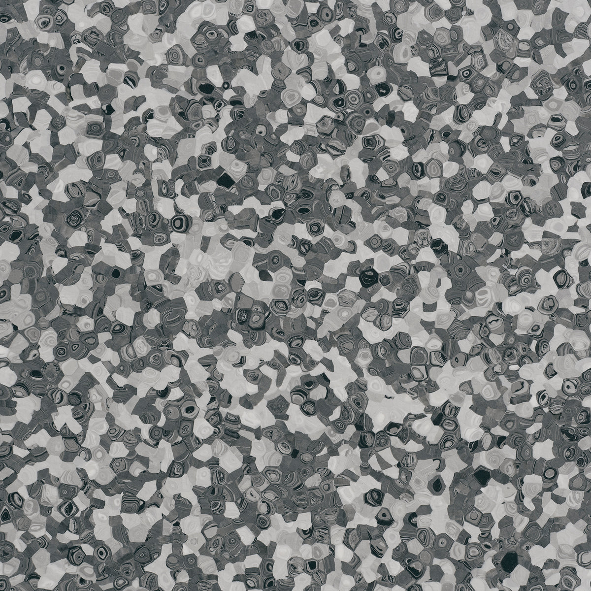 Grabo Fortis Silver Knight coloris Penguin