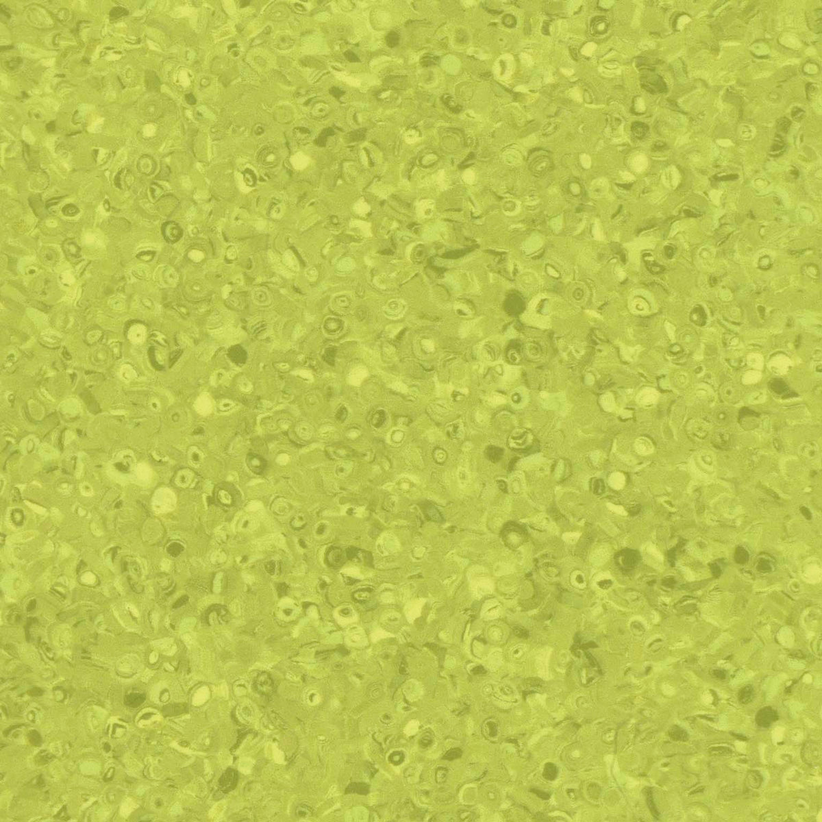 Grabo Fortis Silver Knight coloris Kiwi