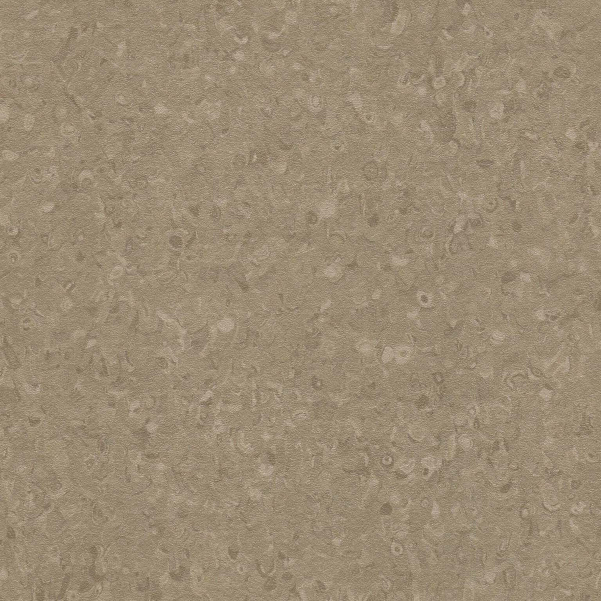 Grabo Fortis Silver Knight coloris Mocca
