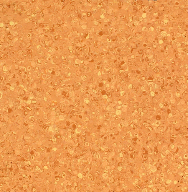 Grabo Fortis Silver Knight coloris Orange