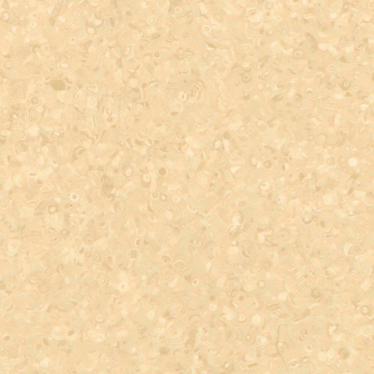 Grabo Fortis Silver Knight coloris Sand
