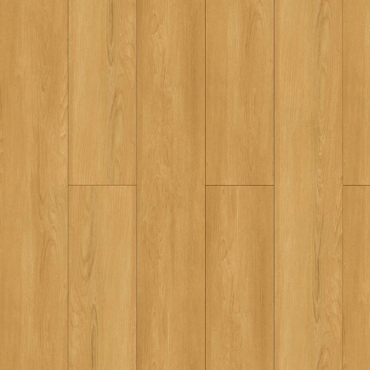 Grabo Plank IT 55 Silver Knight Classic Sansa