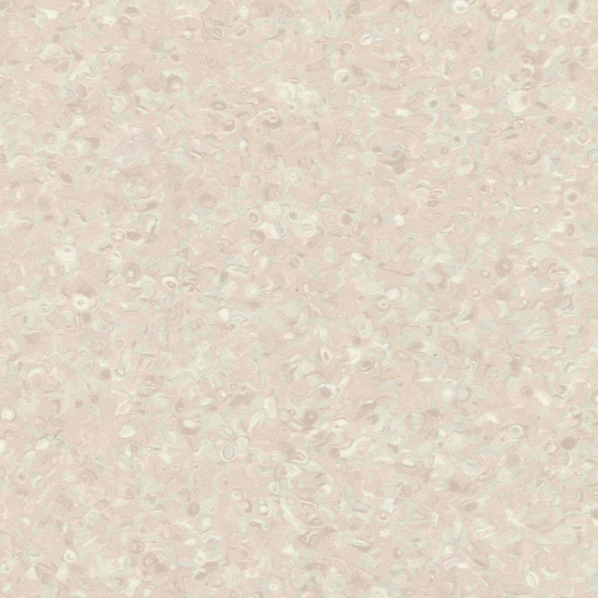 Grabo Fortis Silver Knight coloris Silver