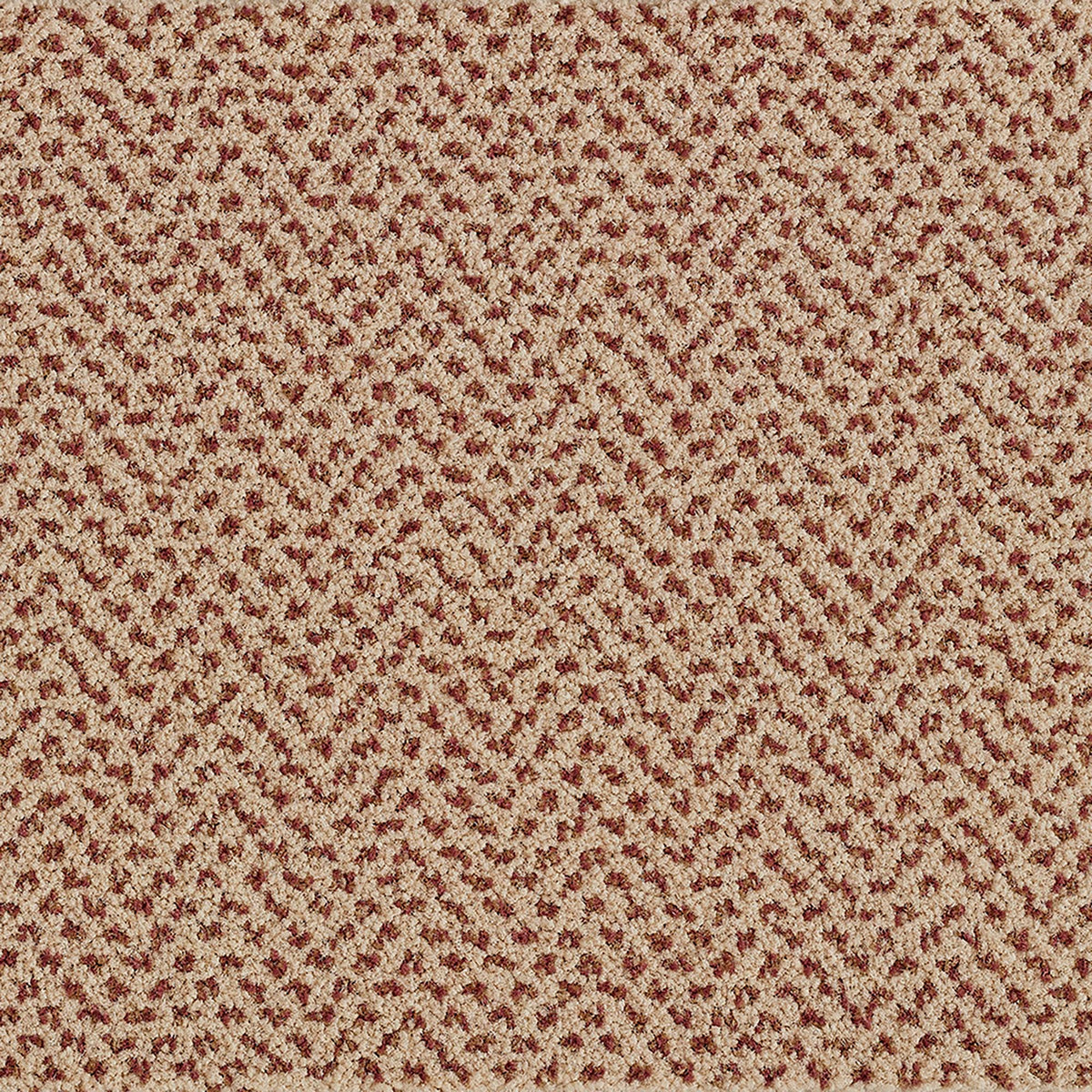 Moquette Radici Verona – velours cross-over