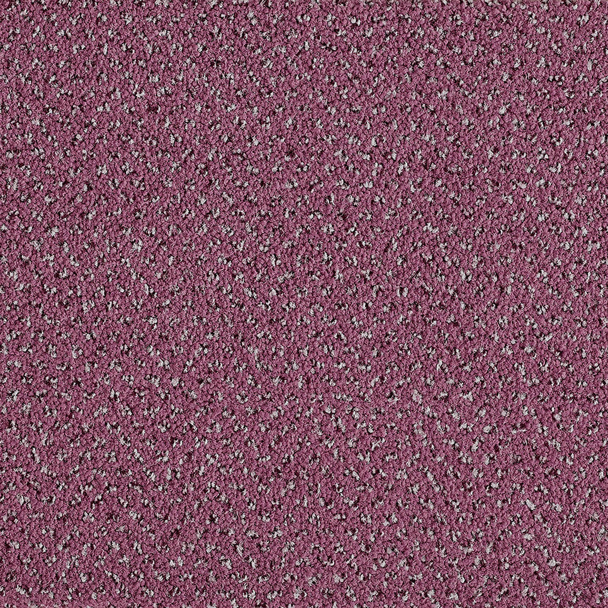 Moquette Radici Verona – velours cross-over